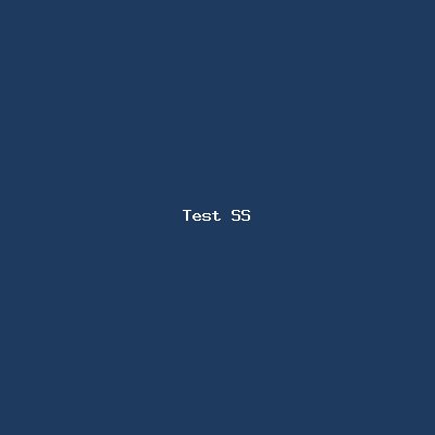 Test SS logo