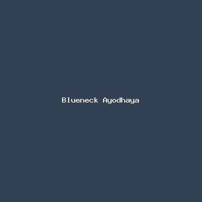 Blueneck Ayodhaya logo